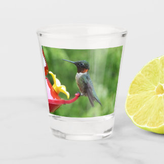 Ruby-Throated Hummingbird Bird Photography Shot Glass