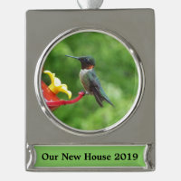 Ruby-Throated Hummingbird Bird Photography