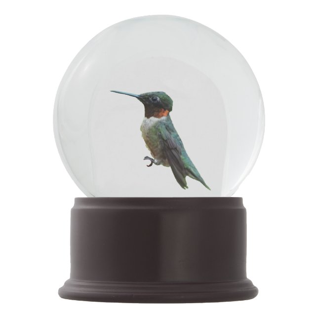 Ruby-Throated Hummingbird Bird Photography Snow Globe (Front)