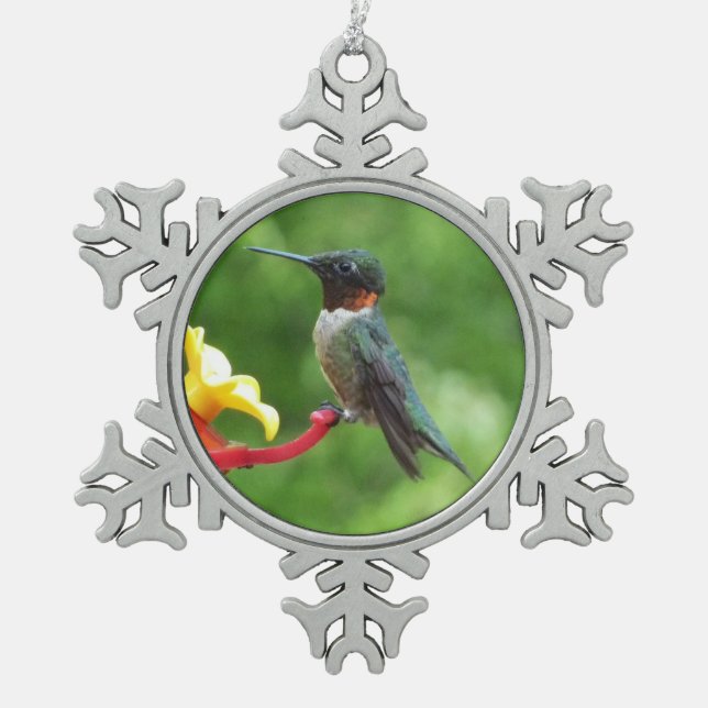 Ruby-Throated Hummingbird Bird Photography Snowflake Pewter Christmas Ornament (Front)