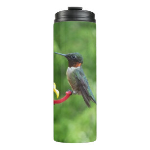 Ruby-Throated Hummingbird Bird Photography Thermal Tumbler