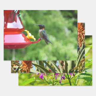 Ruby-Throated Hummingbird Bird Photography Wrapping Paper Sheet