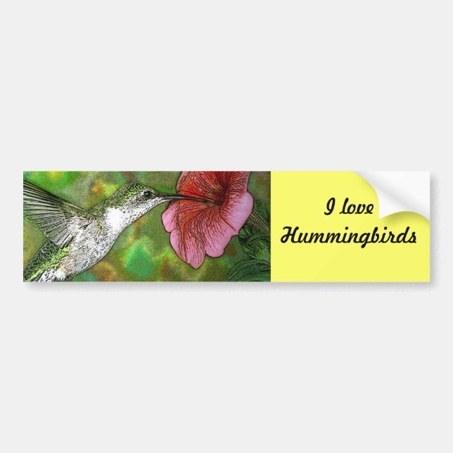 Ruby throated Hummingbird Bumper Sticker (Front)