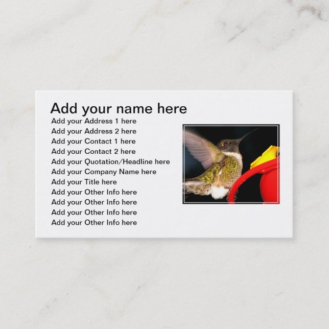 Ruby-Throated Hummingbird Business Card (Front)