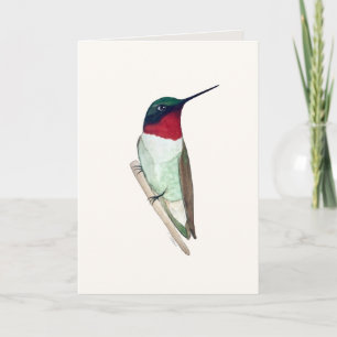 Ruby-throated Hummingbird Card