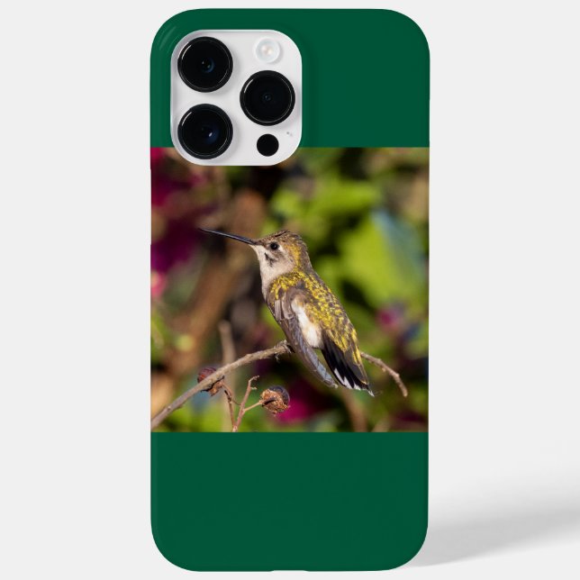 Ruby-Throated Hummingbird  Case-Mate iPhone Case (Back)