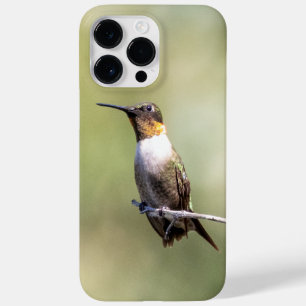 Ruby-Throated Hummingbird Case-Mate iPhone 14 Pro Max Case