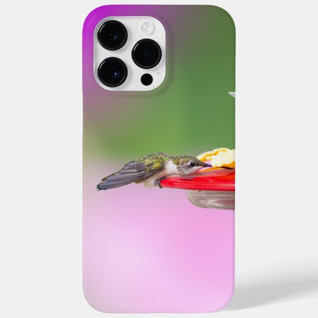 Ruby-Throated Hummingbird  Case-Mate iPhone Case (Back)