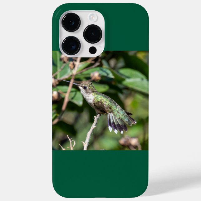 Ruby-Throated Hummingbird  Case-Mate iPhone Case (Back)