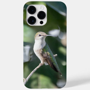 Ruby-Throated Hummingbird Case-Mate iPhone 14 Pro Max Case