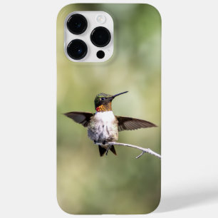 Ruby-Throated Hummingbird Case-Mate iPhone 14 Pro Max Case