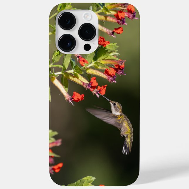 Ruby-Throated Hummingbird  Case-Mate iPhone Case (Back)