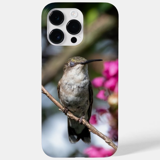 Ruby-Throated Hummingbird  Case-Mate iPhone Case (Back)