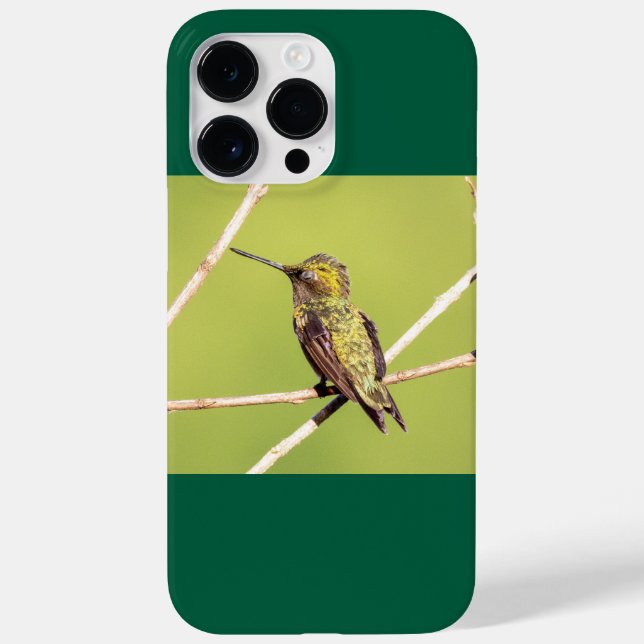 Ruby-Throated Hummingbird  Case-Mate iPhone Case (Back)
