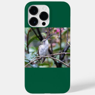 Ruby-Throated Hummingbird Case-Mate iPhone 14 Pro Max Case