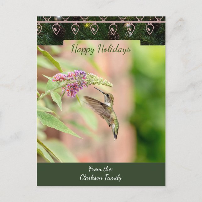 Ruby-throated hummingbird Christmas Card (Front)