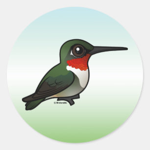 Ruby-throated Hummingbird Classic Round Sticker