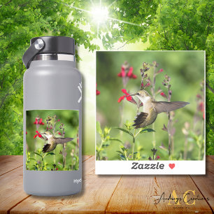 Ruby-Throated Hummingbird Cut Vinyl