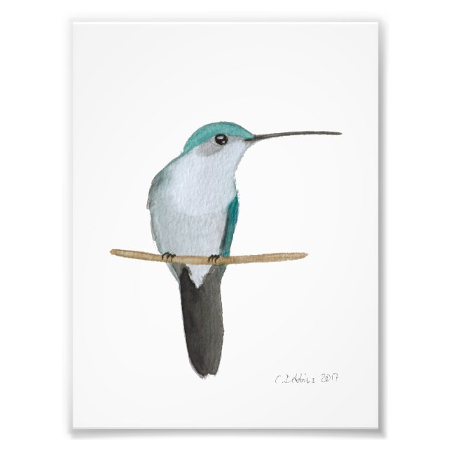 Ruby-throated Hummingbird Female Photo Print (Front)