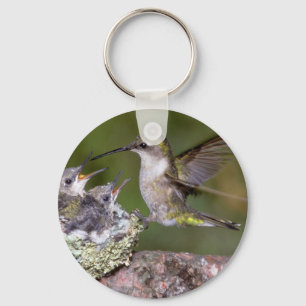 Ruby-throated Hummingbird (female) with young Key Ring