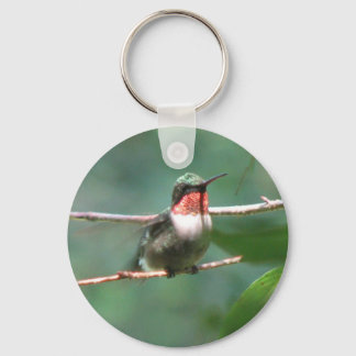 Ruby-throated Hummingbird Flutters Keychain