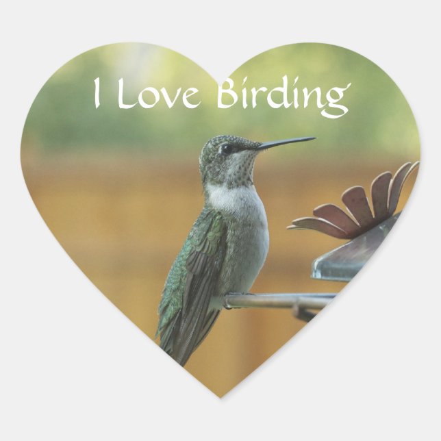 Ruby Throated Hummingbird Heart Sticker (Front)