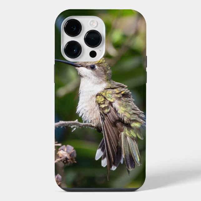 Ruby-Throated Hummingbird  iPhone Case (Back)