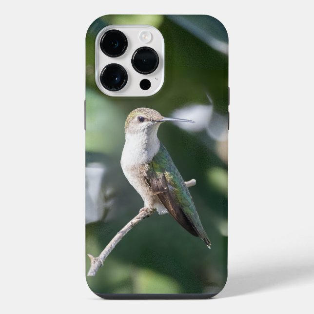 Ruby-Throated Hummingbird  iPhone Case (Back)