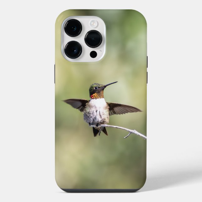 Ruby-Throated Hummingbird  iPhone Case (Back)