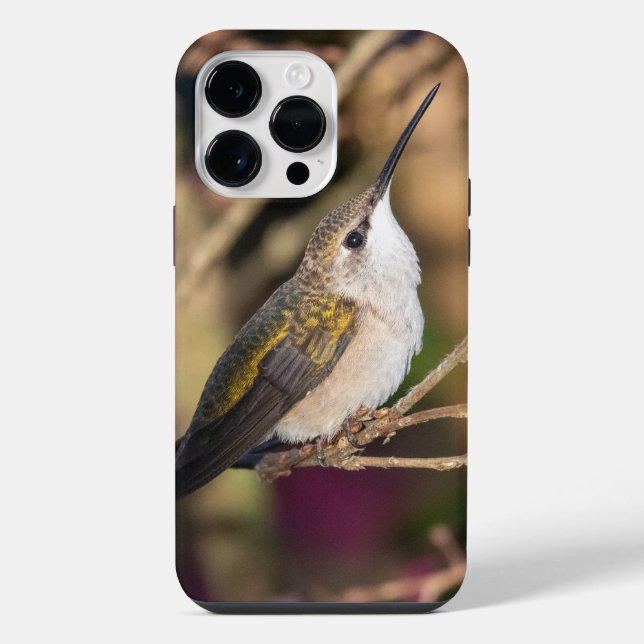 Ruby-Throated Hummingbird  iPhone Case (Back)