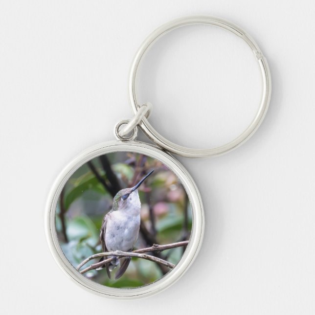 Ruby-Throated Hummingbird  Key Ring (Front)