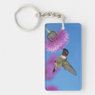 Ruby-throated Hummingbird Key Ring