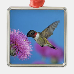 Ruby-throated Hummingbird Metal Tree Decoration