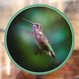 Ruby-throated Hummingbird - Original Photograph