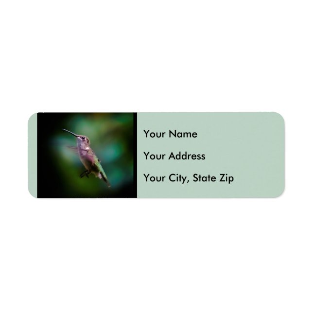 Ruby-throated Hummingbird - Original Photograph (Front)