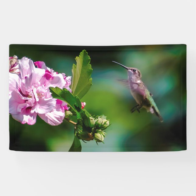 Ruby-throated Hummingbird - Original Photograph Banner (Horizontal)