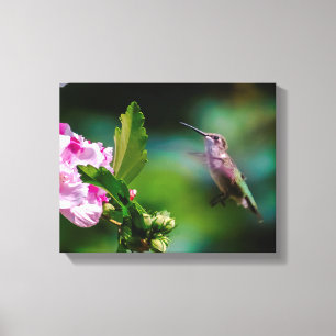 Ruby-throated Hummingbird - Original Photograph Canvas Print