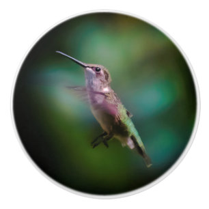 Ruby-throated Hummingbird - Original Photograph Ceramic Knob