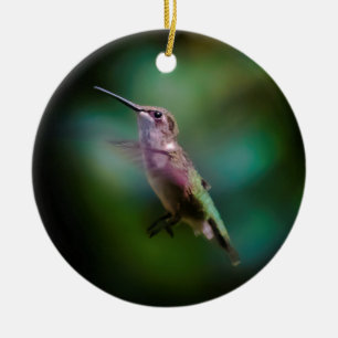 Ruby-throated Hummingbird - Original Photograph Ceramic Tree Decoration
