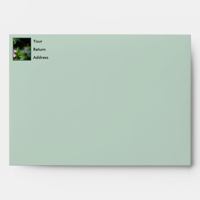 Ruby-throated Hummingbird - Original Photograph Envelope (Front)