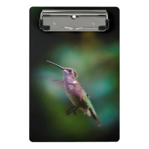 Ruby-throated Hummingbird - Original Photograph Mini Clipboard