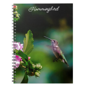 Ruby-throated Hummingbird - Original Photograph Notebook