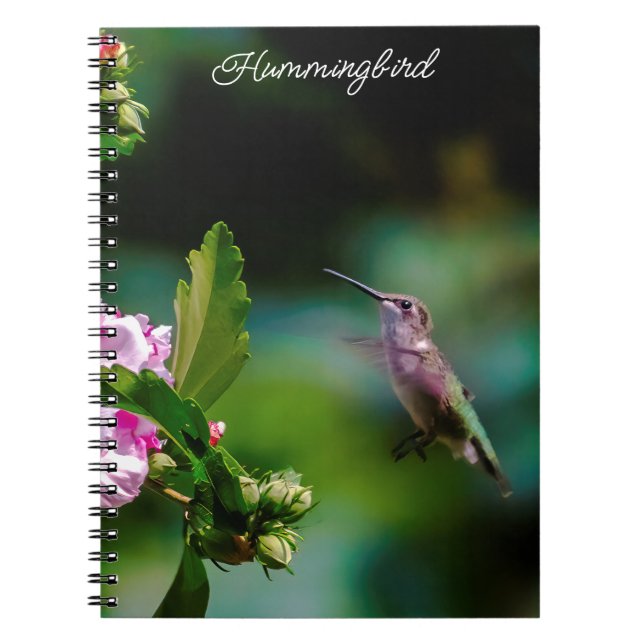 Ruby-throated Hummingbird - Original Photograph Notebook (Front)