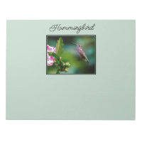 Ruby-throated Hummingbird - Original Photograph