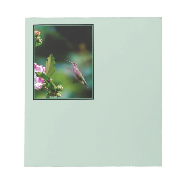 Ruby-throated Hummingbird - Original Photograph Notepad (Front)