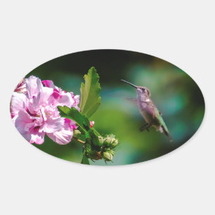 Ruby-throated Hummingbird - Original Photograph Oval Sticker