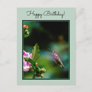 Ruby-throated Hummingbird - Original Photograph Postcard