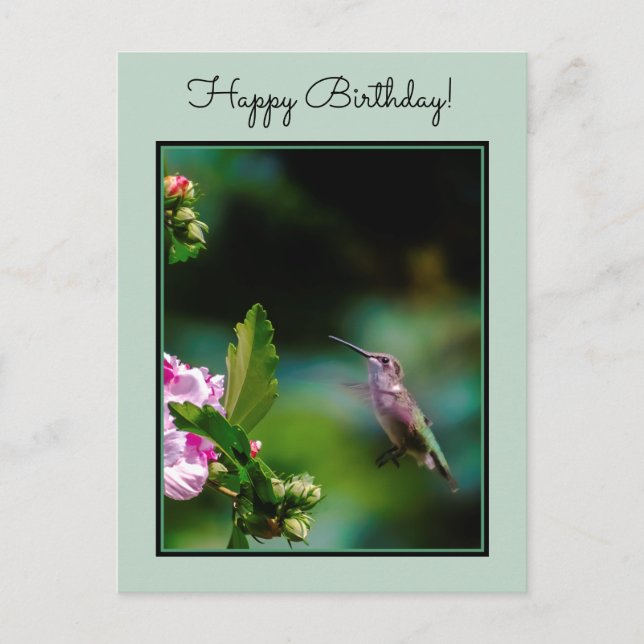 Ruby-throated Hummingbird - Original Photograph Postcard (Front)