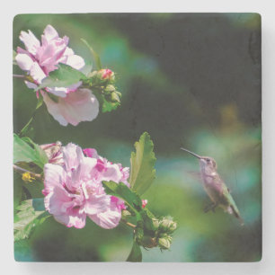 Ruby-throated Hummingbird - Original Photograph Stone Coaster