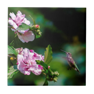 Ruby-throated Hummingbird - Original Photograph Tile